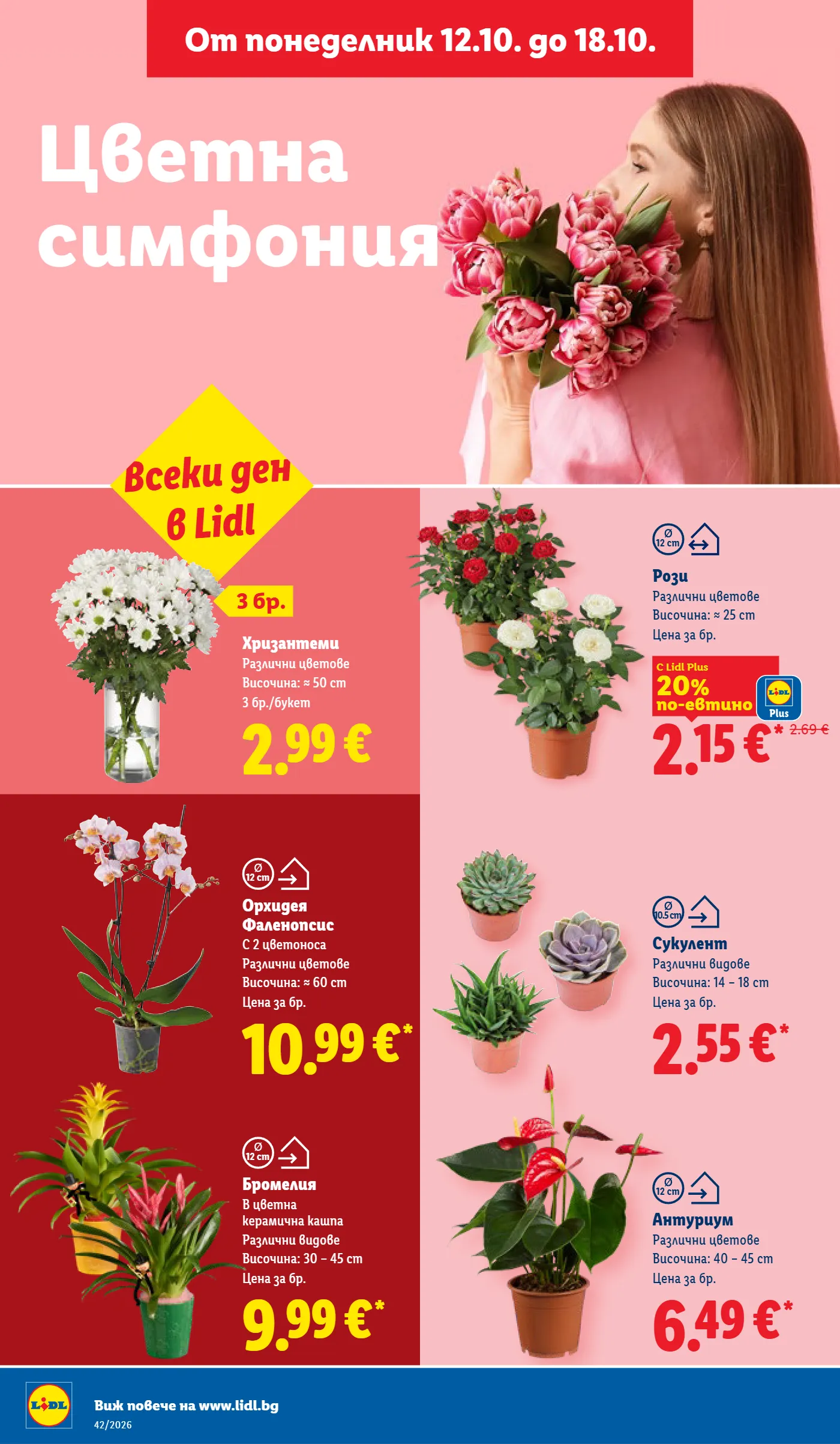 Lidl брошура, страница 50 от 73