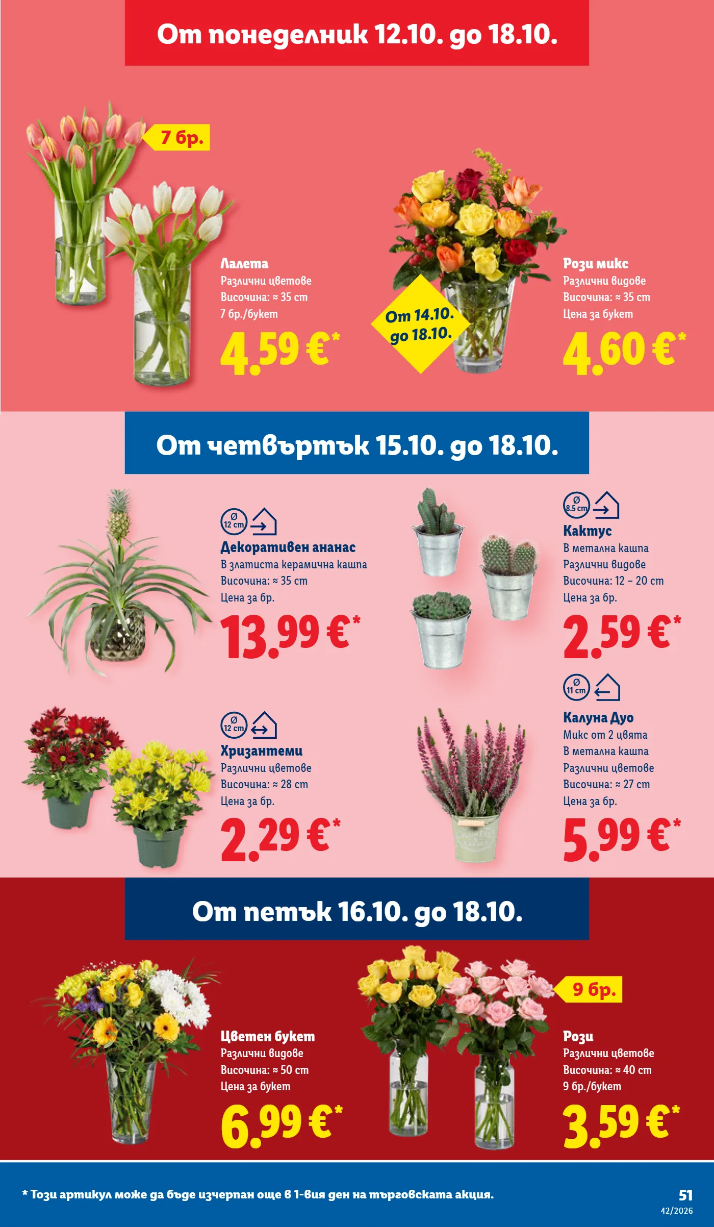 Lidl брошура, страница 51 от 73