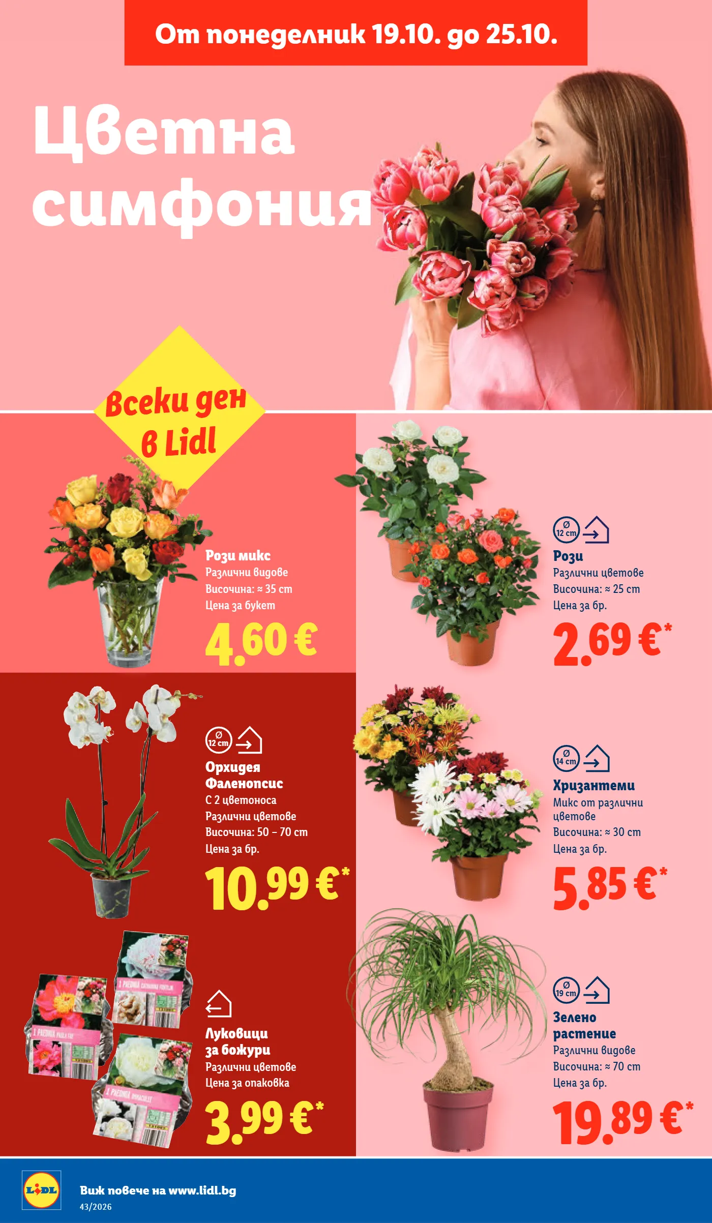 Lidl брошура, страница 52 от 73
