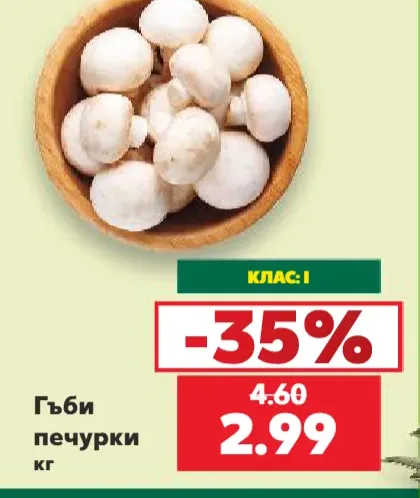 Гъби печурки